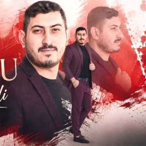 دانلود آهنگ آذربایجانی پروین صدالی به نام او قیزین تویودو دانلود آهنگ آذربایجانی پروین صدالی به نام او قیزین تویودو