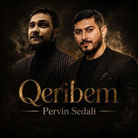 دانلود آهنگ ترکی پروین صدالی به نام غریبم